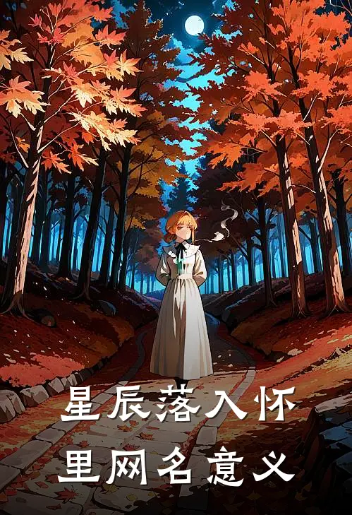 星辰落入怀里网名意义