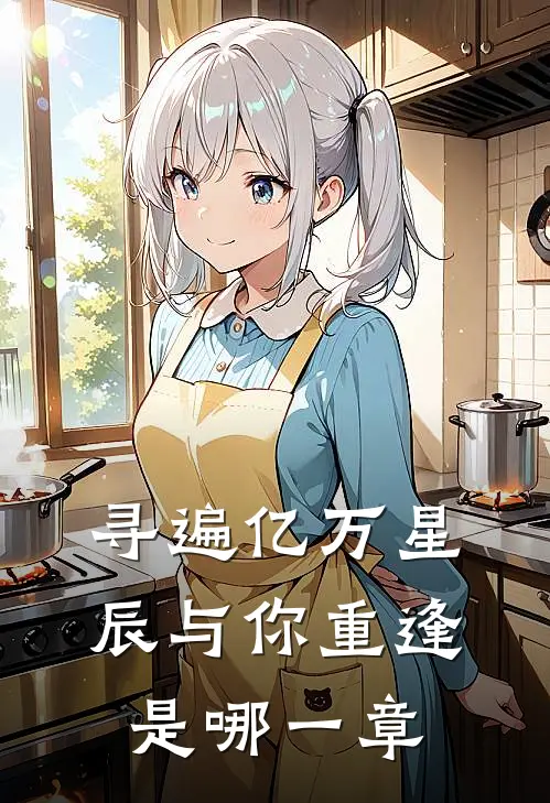 寻遍亿万星辰与你重逢是哪一章