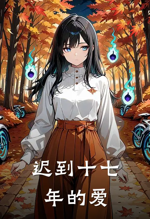 迟到十七年的爱